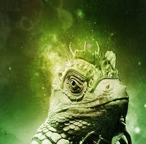 Top Beautiful HD Mobile Wallpapers For You – Free Download HD Wallpapers